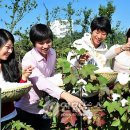 목화병원 이미지