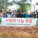 텃밭 수완점 동아일보