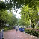 양재고등학교 이미지