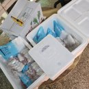 싱싱장구 이미지