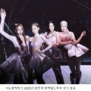 와이지투어 이미지