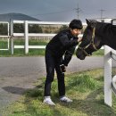 창현목장 이미지