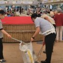 강진읍시장 이미지