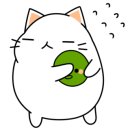 지니핀 이미지