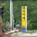 대식이네