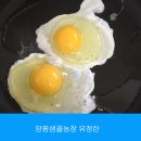 양평샘꼴농장 이미지