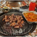 집으로돼지아주
