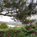 장흥 달바위펜션 이미지