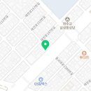 낭만펫 강아지분양 고양이분양 대전 본점 네이버블로그