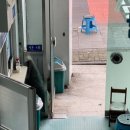 일성목욕탕 이미지