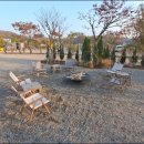 카페라임 이미지