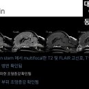 충청동물병원 이미지