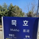 묵호 1박 2일 혼여행/뚜벅이 여행 추천