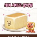 브레드백