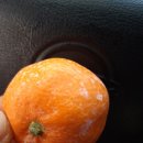 제주위미농협주유소 이미지