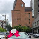 현대DC마트 | [BYD 돌핀 출고기] 가성비 전기차 BYD 돌핀 탁송 비대면 출고