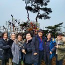 능주초등학교 이미지