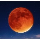 바디채널 상동점 이미지