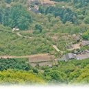 대금산농원