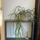 도안숯불갈비 이미지