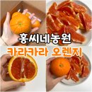 세일농원 | 홍씨네농원 카라카라오렌지 후기