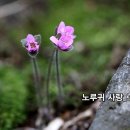 사랑기획