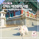 보문사주차장 | 인천 애견동반 가볼만한곳 보문사 | 석모도 사찰 산책코스 후기