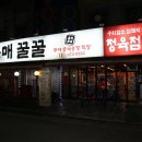 음매꿀꿀 이미지
