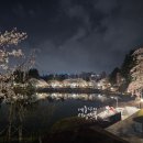 무인75 | 포항 벚꽃 명소 영일대 호수공원 야경 무인카페 이용 후기