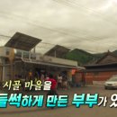 누룩꽃이 핀다