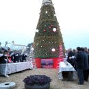 춘장대 개촉도로 이미지