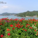반하다위그