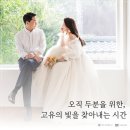 더브라이덜수 - 안산시 단원구 광덕4로 256 | 더브라이덜수