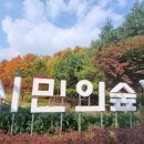 시민의숲 이미지