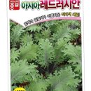 씨앗