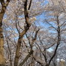 조개명당 이미지