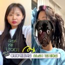 유성주유소 | Oknock 대전 봉명동 기복 없는 1인 미용실 오노크 내돈내산 솔직후기 히피펌 추천