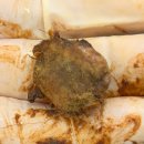 태백동물병원 이미지