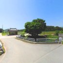 송내리 Daum카페