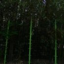 경산골프 (대구대) 이미지