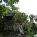 진기농장 이미지