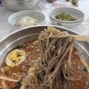 세일막국수 | [동해] 이도동 세일막국수 내돈내산 후기