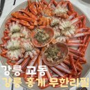 강릉홍게무한리필 | 강릉 홍게 무한리필 내돈내산 솔직 후기