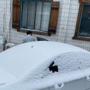 백암산장 이미지