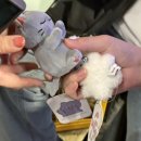 쏭쏭오락실 이미지