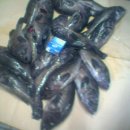 본전카센타 이미지