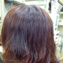 헤어랜드 이미지