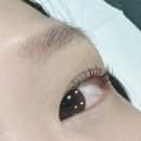민쓰네일&속눈썹 | (용인성복)성복동 속눈썹펌 잘하는 “민트뷰티”추천 (속눈썹펌속눈썹연장네일아트)