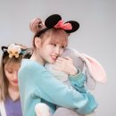 모모 Daum카페