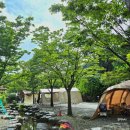 든해솔계곡캠핑장 | 경남 산청 오토캠핑장 든해솔계곡캠핑장 어린이계곡수영장 보트타기